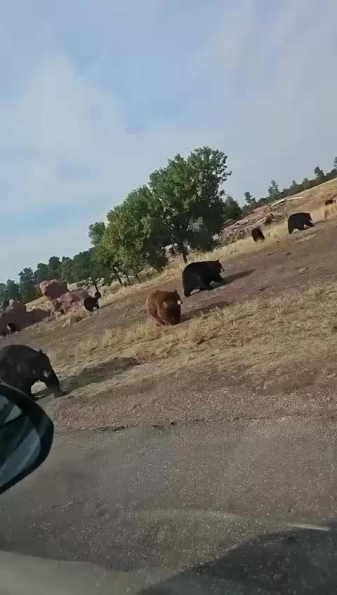 Вторжение в США